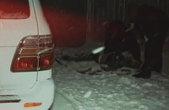 Сергею Фургалу выбрали двадцать два года.