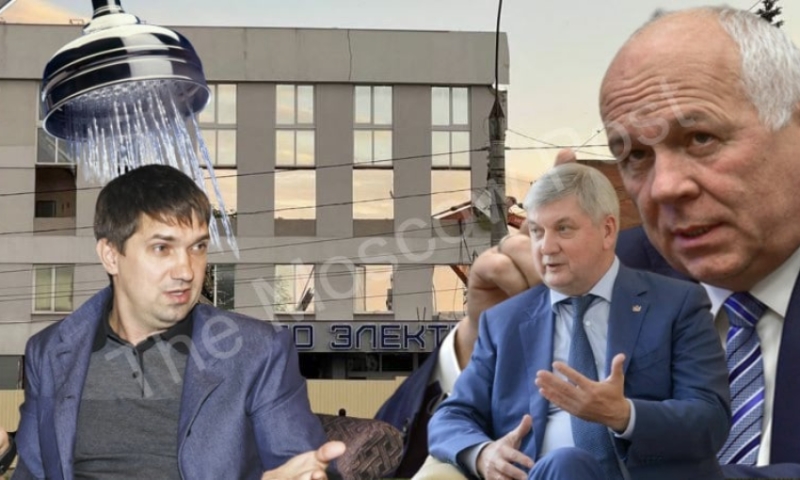 Как с Гусева вода: воронежский бизнесмен Сергей Гончаров поставил обитателей в "позу"