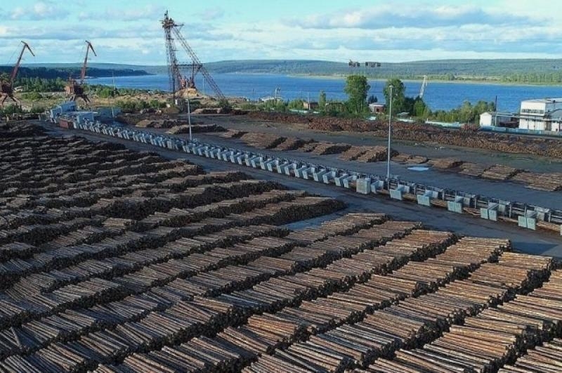 Segezha Group: сейчас обожать мы будем херра шведа