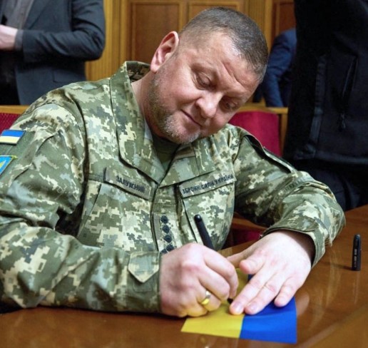 За все ответит Залужный