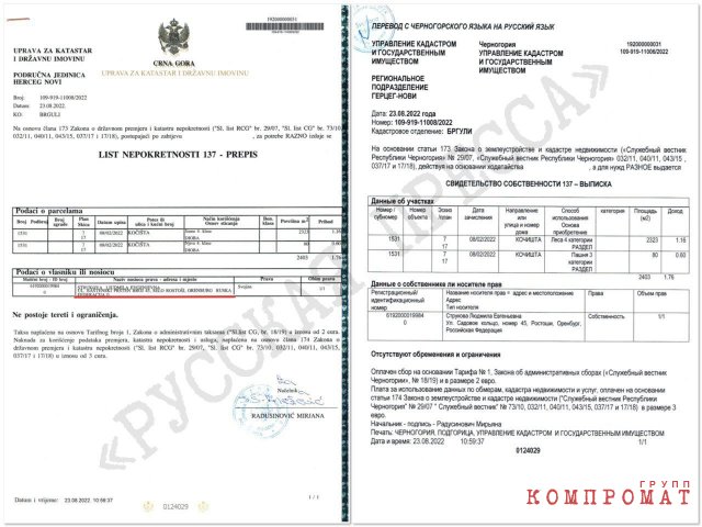 У депутата-миллиардера из «Единой России» обнаружен счёт в банке Черногории — и очередной схематоз