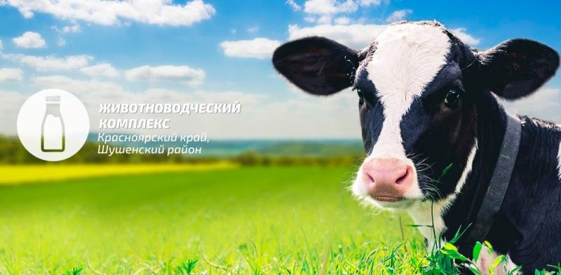 Виктор Зубарев: мастодонт без авторитета в политической среде