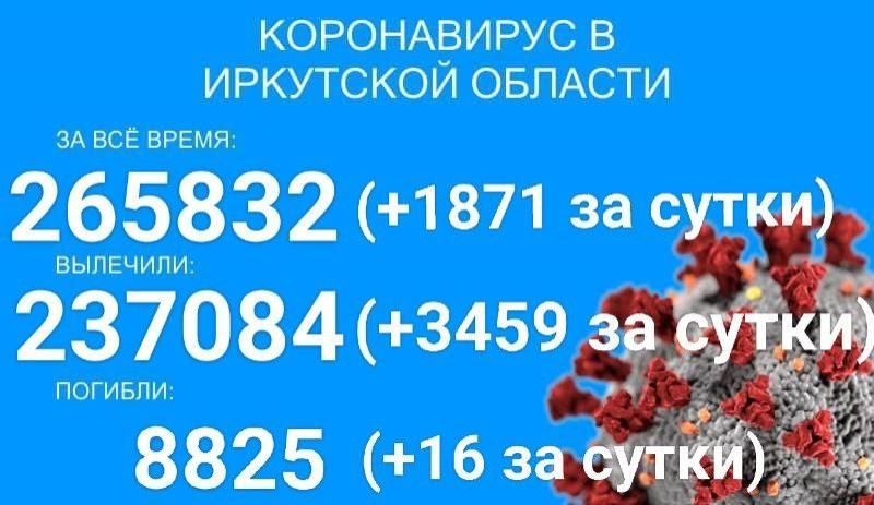 Более 1,8 тысячи новых случаев COVID-19 выявили за сутки в Прибайкалье