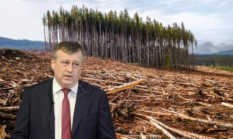 Лесные "войны" главу региона Дрозденко