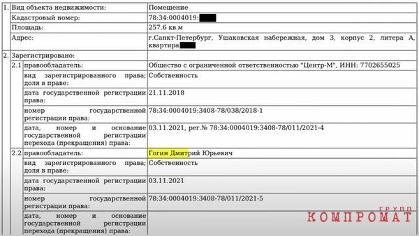 Сотни миллионов в коммерческой и жилой недвижимости Дмитриия Гогина и его родственников в Москве и Питере