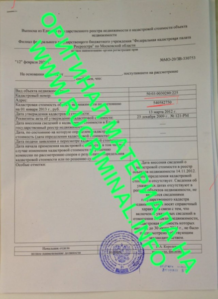 &laquo;Партнер&raquo; Путина по хоккею и двойная афера