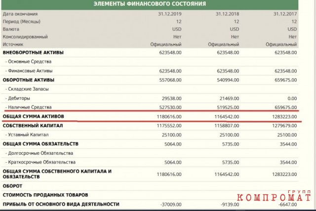 Семейный офшор для «роспартизана» Ильи Пономарева