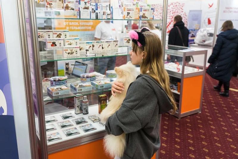 Чем защитить питомцев от клещей, когда на ветеринарном рынке дефицит препаратов
