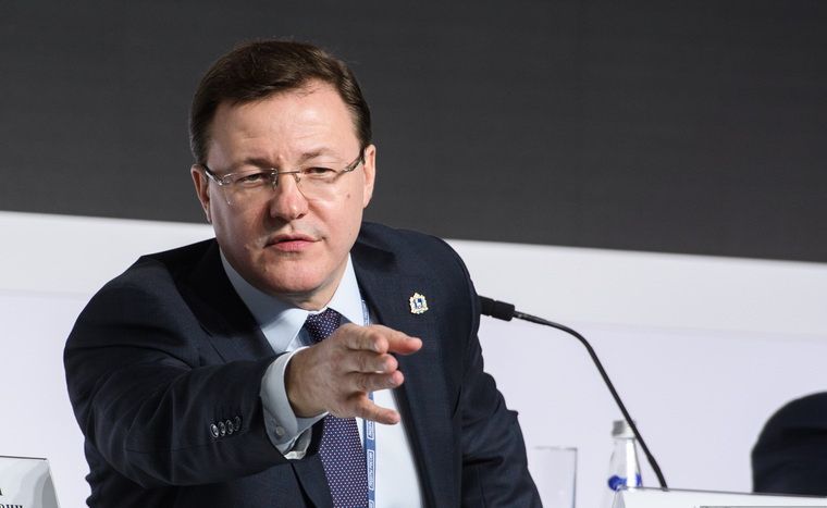 Один Ренц на все Тиво: глава Тольятти может легализовать особняк собственной семьи в береговой зоне