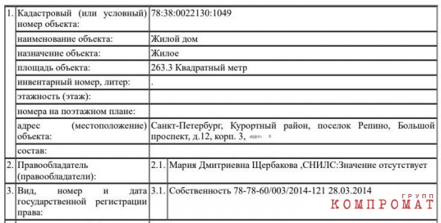 Как семья главы Красногвардейского района Петербурга разжилась недвижимостью на 130 млн руб.