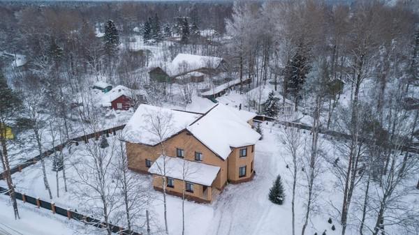 Возлюбленные курятнички питерского члена партии Единая Россия.