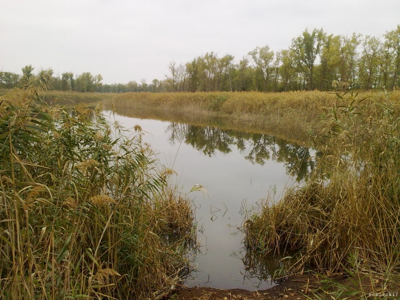 Прокурор помог отдать в частные руки кубанскую балку Водяная