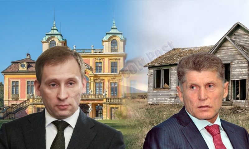 Домашний бизнес руководителя Министерства природных ресурсов добрался до казны Амурской области?
