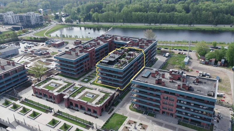 Семейное достояние Алексея Миллера на 43 млрд руб.