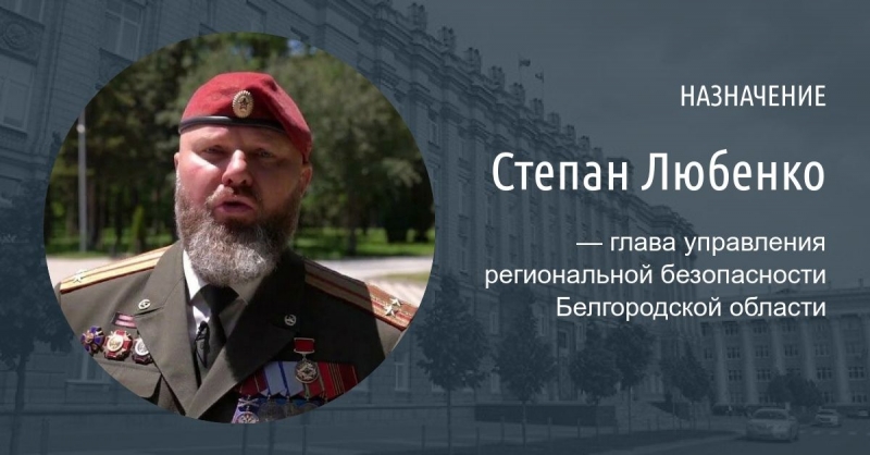 "Швабрания" главу региона Владимирова, либо Почему "жирует" воин Любенко, который избил ребенка