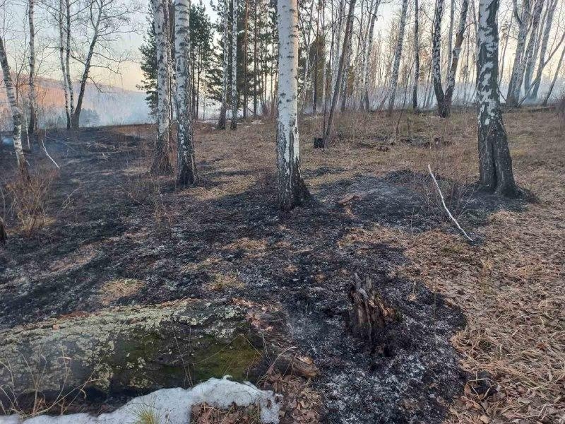 Девять лесных пожаров обнаружили и потушили в Иркутской области за сутки