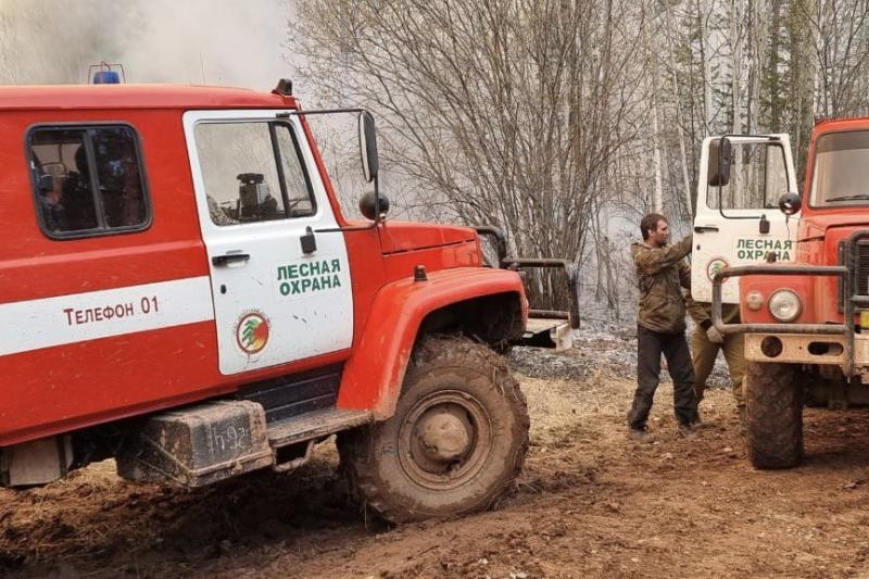 Два пожара произошло в лесах Иркутской области за сутки