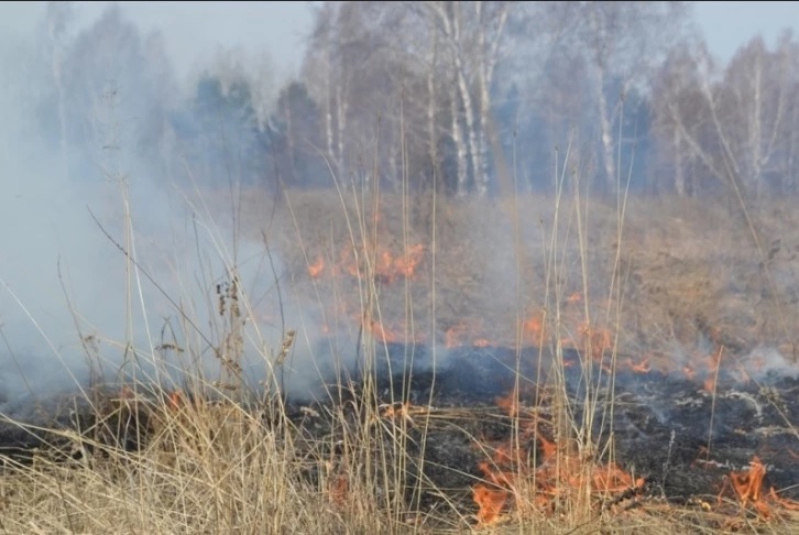 Двое мужчин жгли траву в Нижнеудинском районе, чтобы &laquo;лучше росли грибы&raquo;