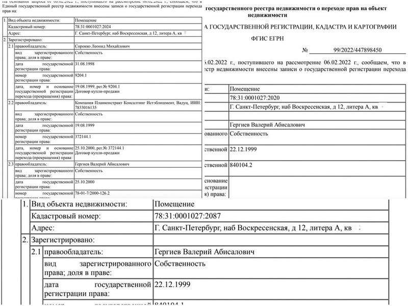 Валерий Гергиев унаследовал мимо декларации.