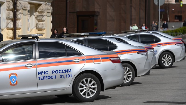 Экс-глава финдепартамента МЧС стала фигуранткой дела о мошенничестве