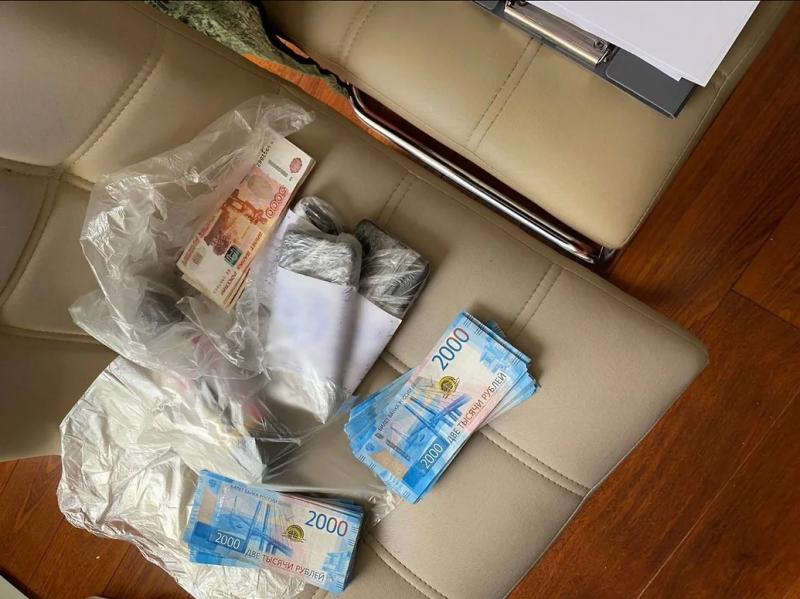 Экс-главу Иланского лесничества задержали за взятку в ₽22 миллиона. Он прятал деньги в пылесосе