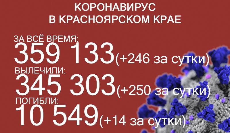 Ещё 128 человек попали в больницы Красноярского края из-за ковида