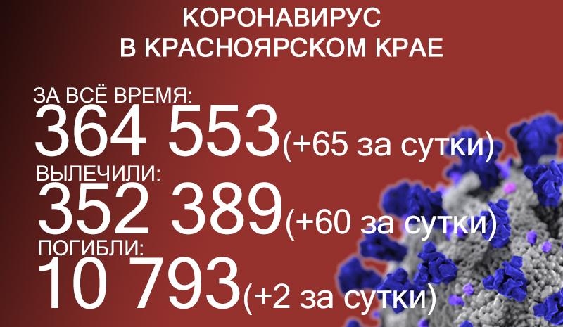 Ещё 65 человек заболели ковидом в Красноярском крае, двое скончались