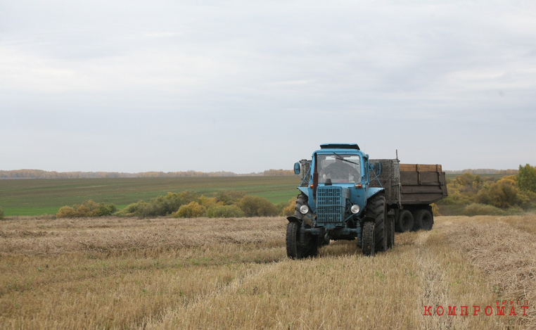 УрФО ждет скачков цен на сельхозпродукцию. Глава Челябинской области переложил решение проблем аграриев на продавцов ГСМ