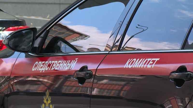 Глава СКР обратил внимание на дело о смерти двухлетней девочки в Новосибирске 