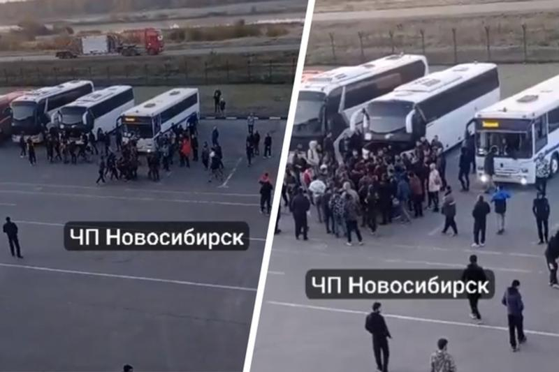 Глава СКР заинтересовался потасовкой в Толмачево Новосибирской области