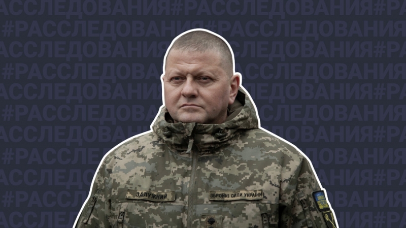 Главком ВСУ Залужный прячет активы за рубежом, для чего нанял специалиста по офшорам
