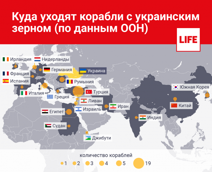 Голодным достались крохи: Куда в действительности поставляется зерно с Украины