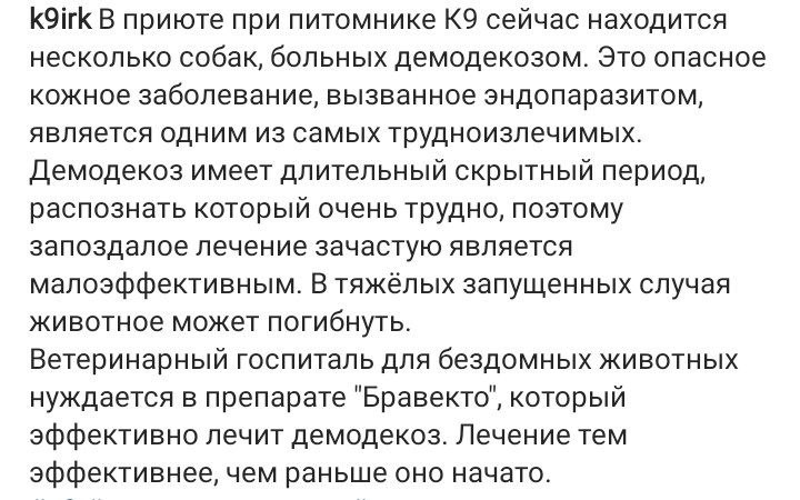 История с медведицей продолжается. Что предпримет хозяин питомника «К-9»?