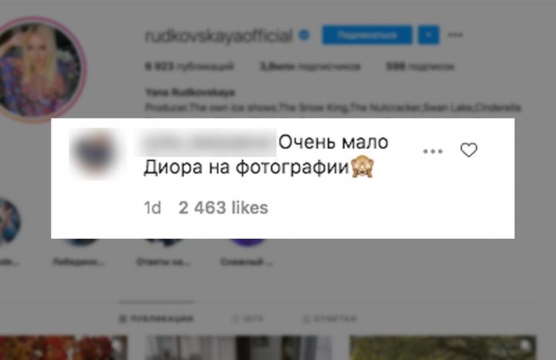 Яна Рудковская и Евгений Плющенко: сколько стоят новогодние корпоративы