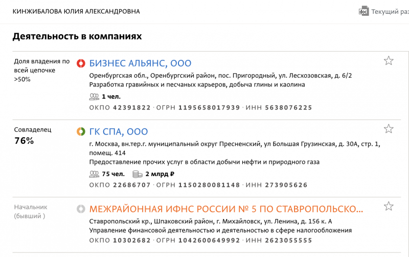Как налоговый сотрудник из Ставрополя Юлия Кинжибалова стала обладателем нефтесервисной компании "ГК СПА" 
