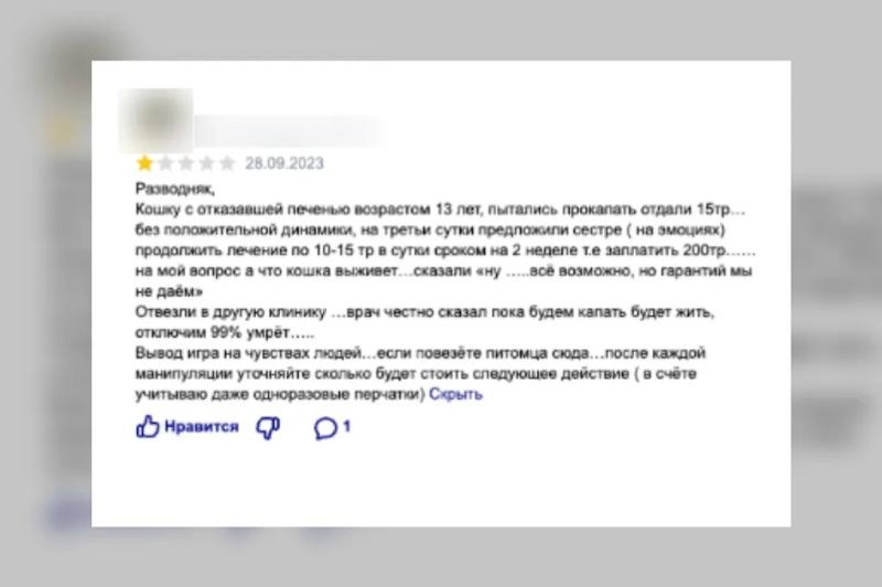 Как уберечь питомца от некачественных ветеринарных услуг: полезные советы Life