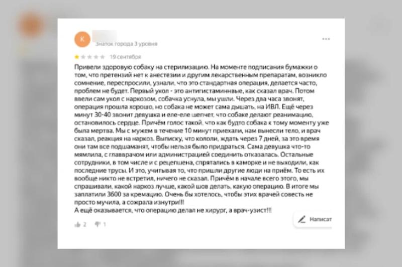 Как уберечь питомца от некачественных ветеринарных услуг: полезные советы Life
