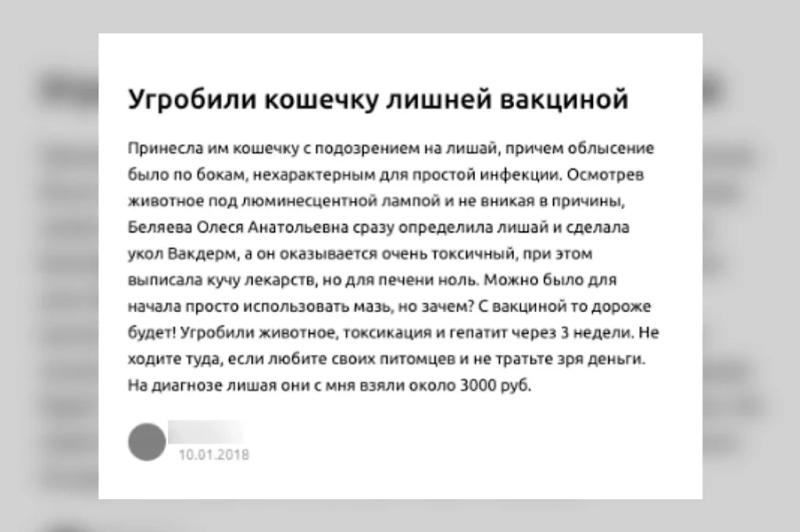 Как уберечь питомца от некачественных ветеринарных услуг: полезные советы Life