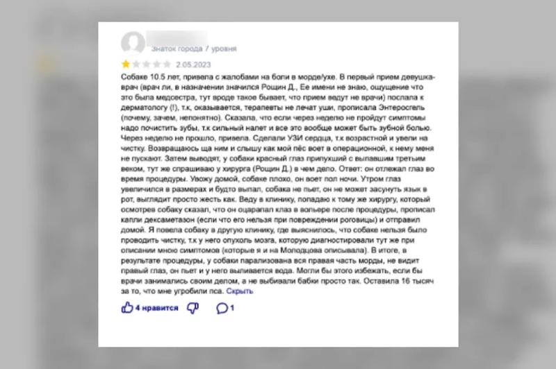 Как уберечь питомца от некачественных ветеринарных услуг: полезные советы Life