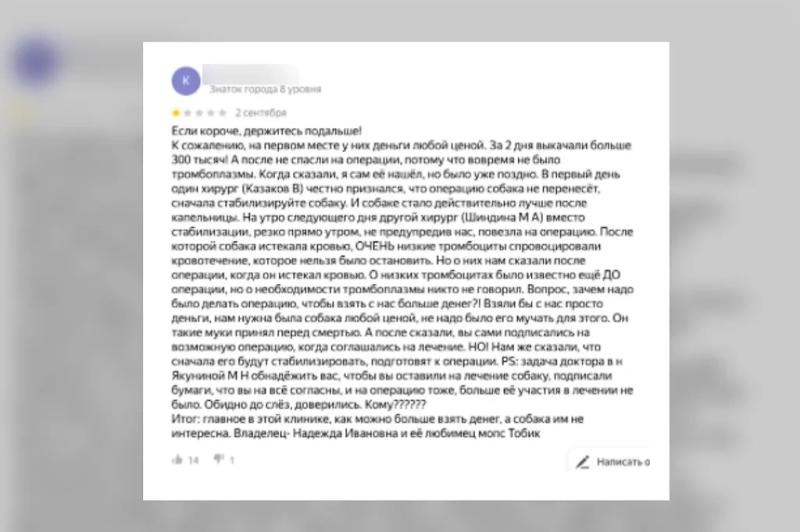 Как уберечь питомца от некачественных ветеринарных услуг: полезные советы Life