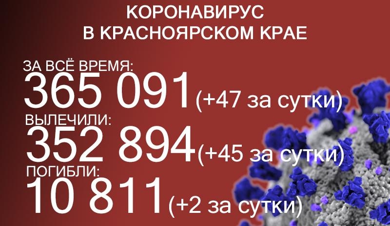 Ковид в Краснорском крае: 47 заболевших и 2 летальных случая 
