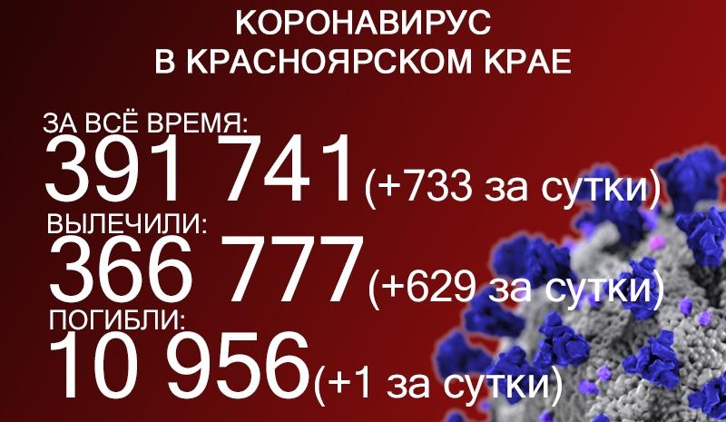 Ковид в&nbsp;Красноярье: 733 заболевших и&nbsp;один летальный случай 
