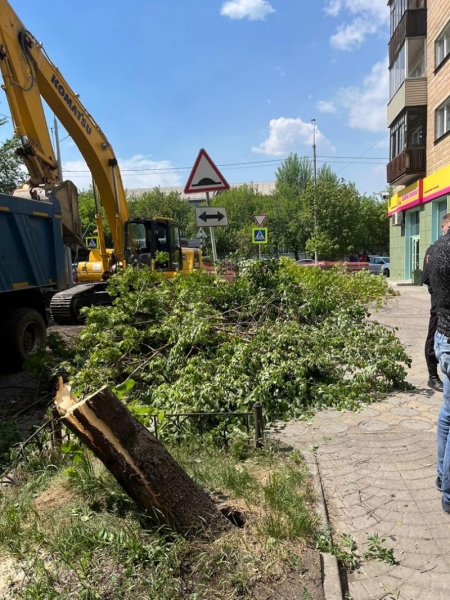 Красноярцы вышли на стихийный митинг из-за вырубки деревьев на Красной Армии