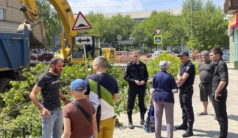 Красноярцы вышли на стихийный митинг из-за вырубки деревьев на Красной Армии