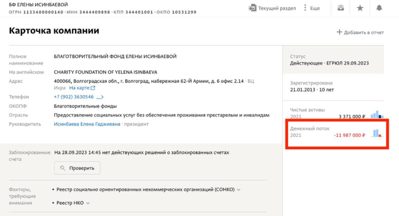 Кто теперь зарабатывает под вывеской фонда олимпийской чемпионки Елены Исинбаевой