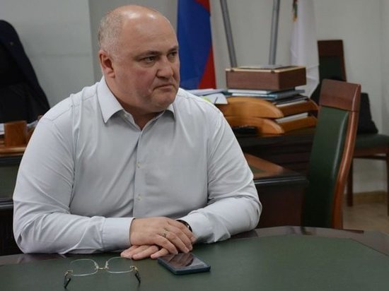 Кто зарабатывает на «санитарных порубках» томской тайги?