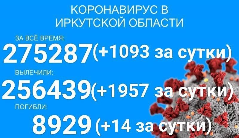 Менее 1,5 тысячи больных COVID-19 лечится в больницах Прибайкалья