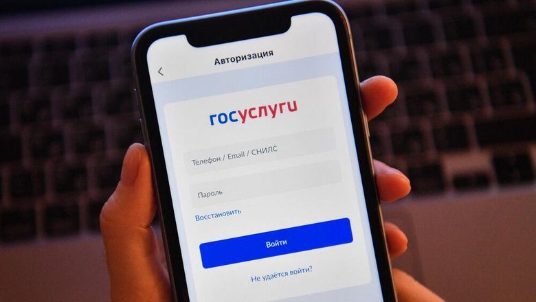 МВД рассказало, что делать, если мошенники взломали аккаунт на «Госуслугах»