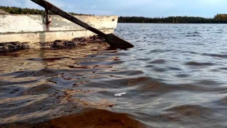 Неизвестное существо утащило подростка на дно реки в Малайзии