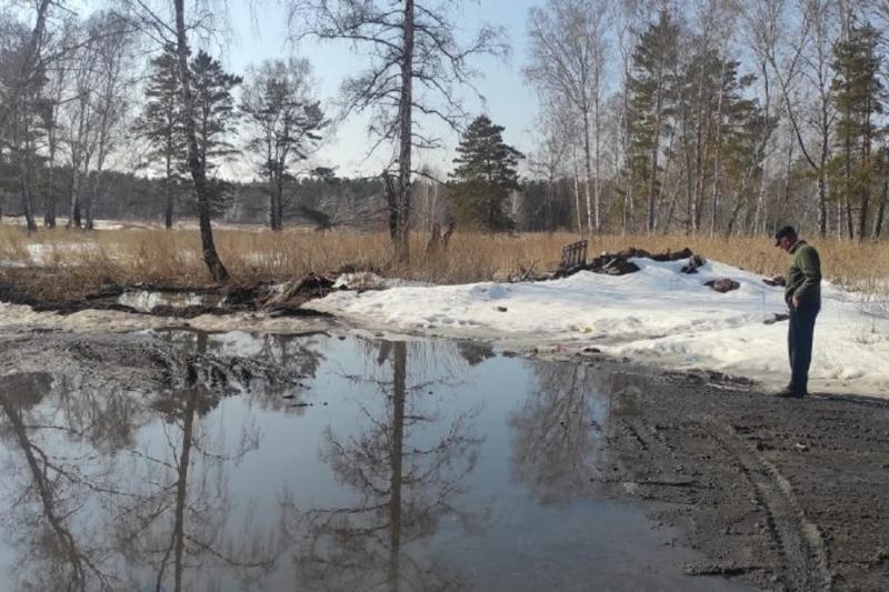 Новосибирский интернат подозревается в сливе отходов в лес